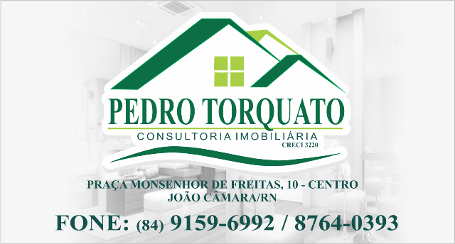 banner-pedro-torquato.png